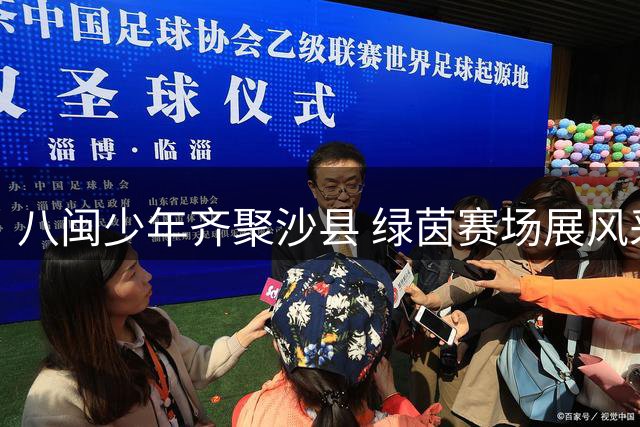 八闽少年齐聚沙县 绿茵赛场展风采