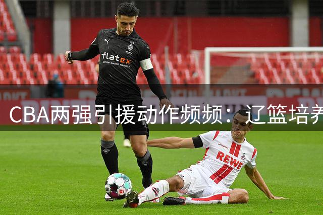 CBA两强引援动作频频：辽篮培养新核 北控补强内外线